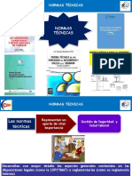 3 Normas Tecnicas y PSST PDF