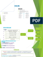 Biologia Trabajo