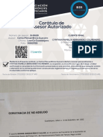 Documentos Basicos PDF