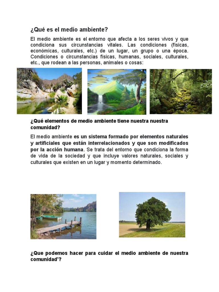 Qué Es El Medio Ambiente | PDF