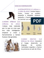 Proceso de Hominización