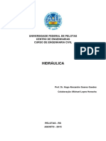 Universidade Federal Centro de Engenhari PDF