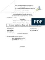 Etude Et Réalisation D'une Pile Électrochimique