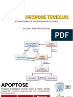 Tipos de Necrose e Mecanismos de Reconhecimento