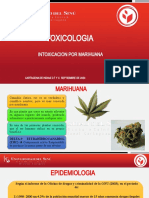 485382091-Intoxicacion-Por-Marihuana-pptx