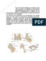 Articulaciones del cuerpo: tipos, funciones y prevención del dolor