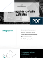 Presentación de Arándano PDF