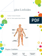 Órgãos Linfoides - 16 - 04 - 19