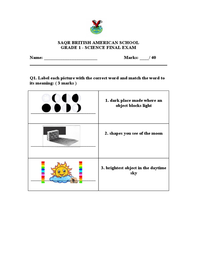 🍎 FREE Printable Apple Science Experiment Worksheet, image size:768x1024