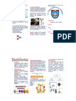 Los Bioelementos Triptico - Compress