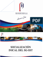 Socialización Inicial de Sst.