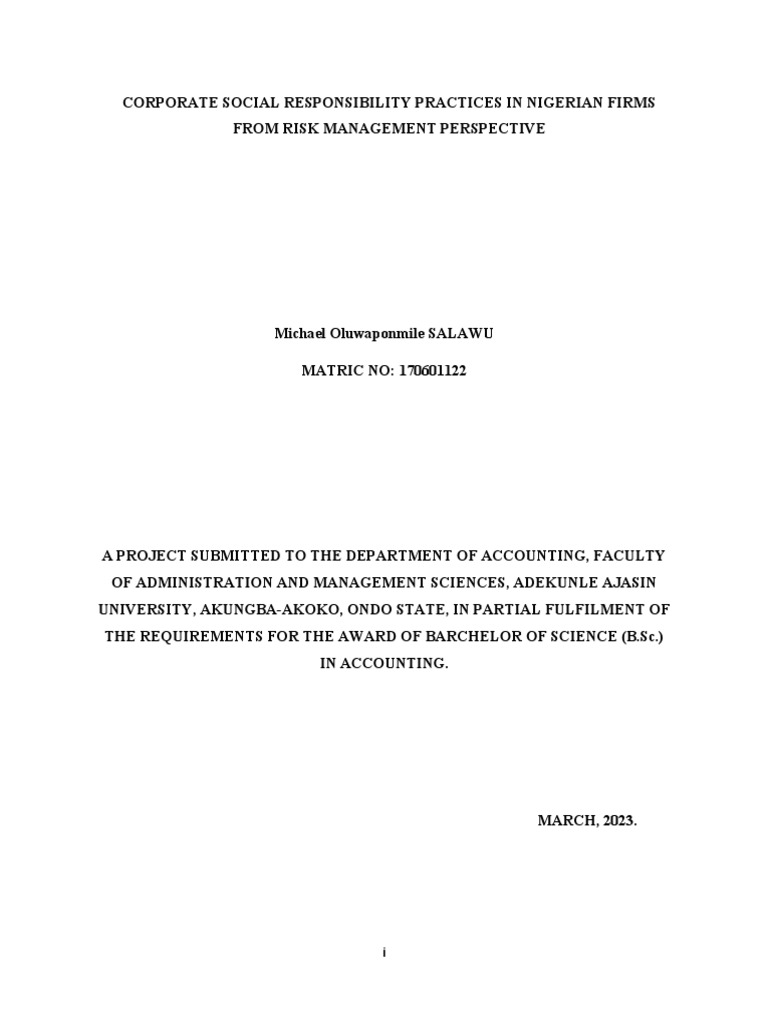 Accounting Project Research 2 | PDF | Corporate Social Responsibility ...