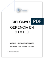 DIPLOMADO GERENCIA DE S.I.A.H.O