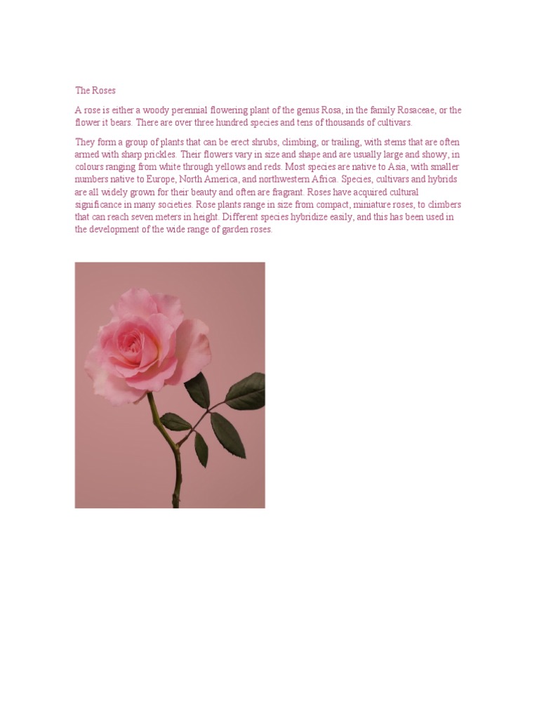 Roses | PDF
