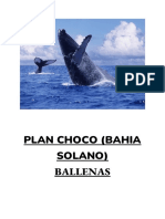 Plan Choco (Bahia Solano)
