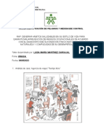 Taller Identificación de Peligros y Medidas de Control