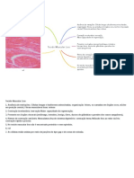 Tecido Muscular Liso PDF