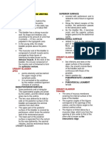 Urinary Kidney and Heart