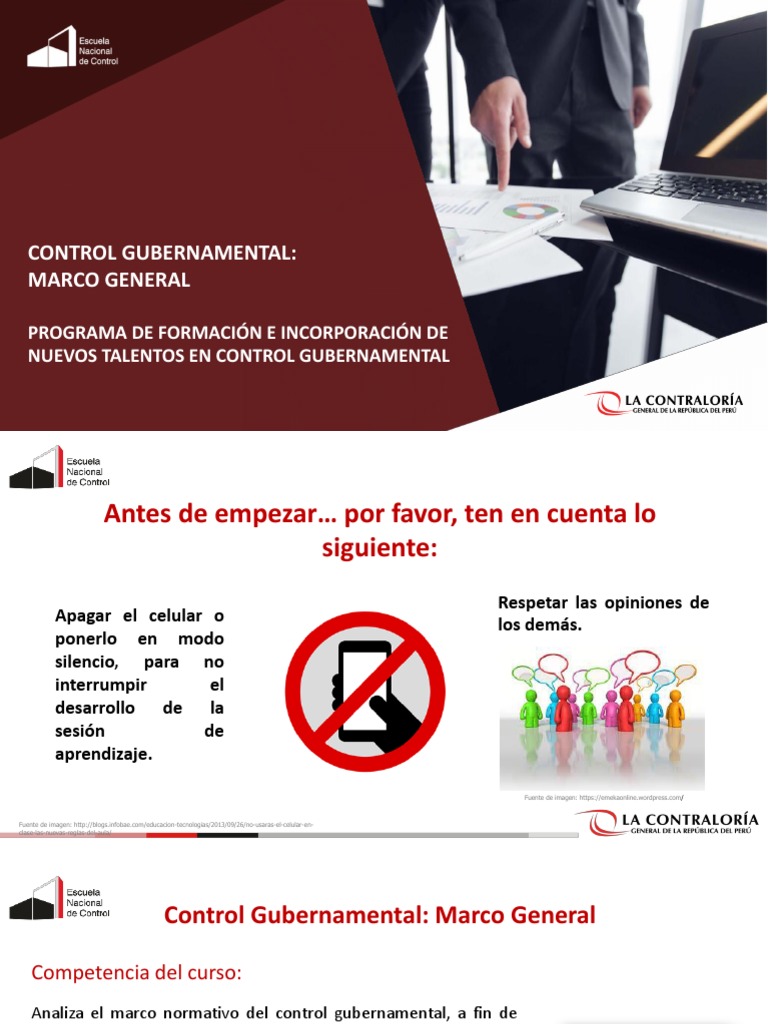 Control Gubernamental y Gestión Pública | PDF | Auditoría | Contralor