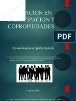 Asociacion en Participacion y Copropiedades