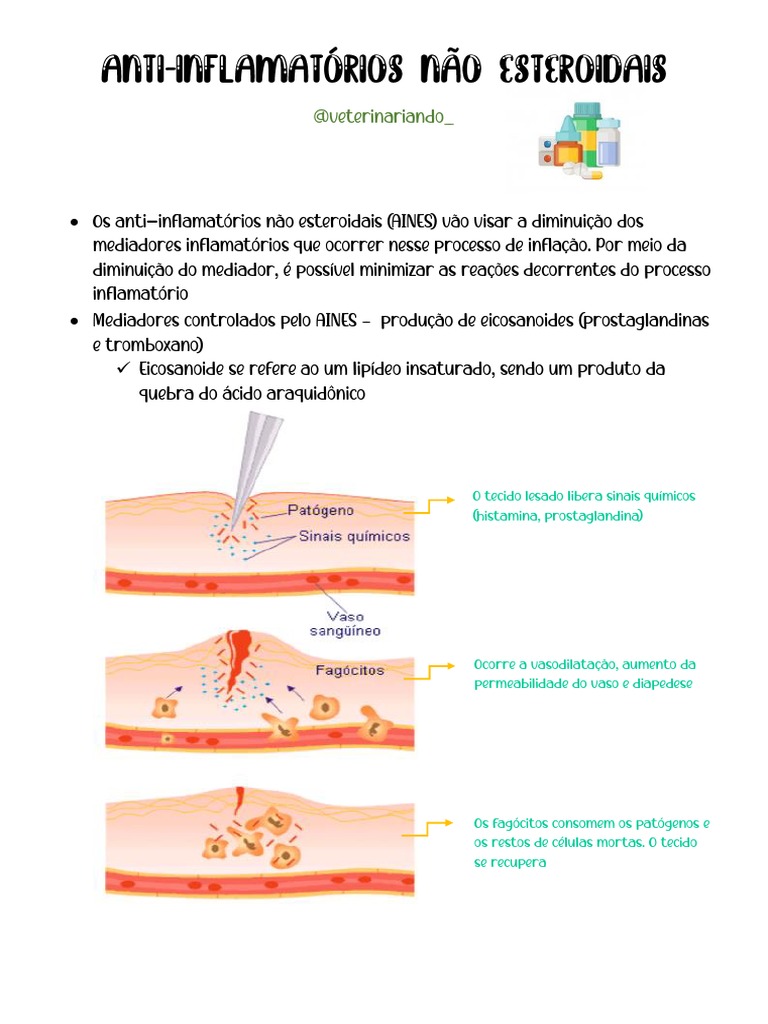 AINEs | PDF | Anti-inflamatório não esteroide | Inflamação