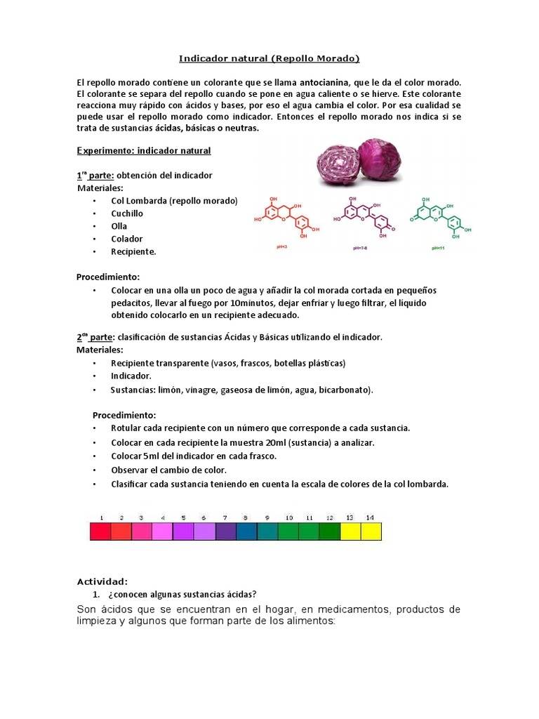 Repollo | PDF | Ácido | Química