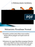 MEKANISME_PERSALINAN_NORMAL_Baru.ppt