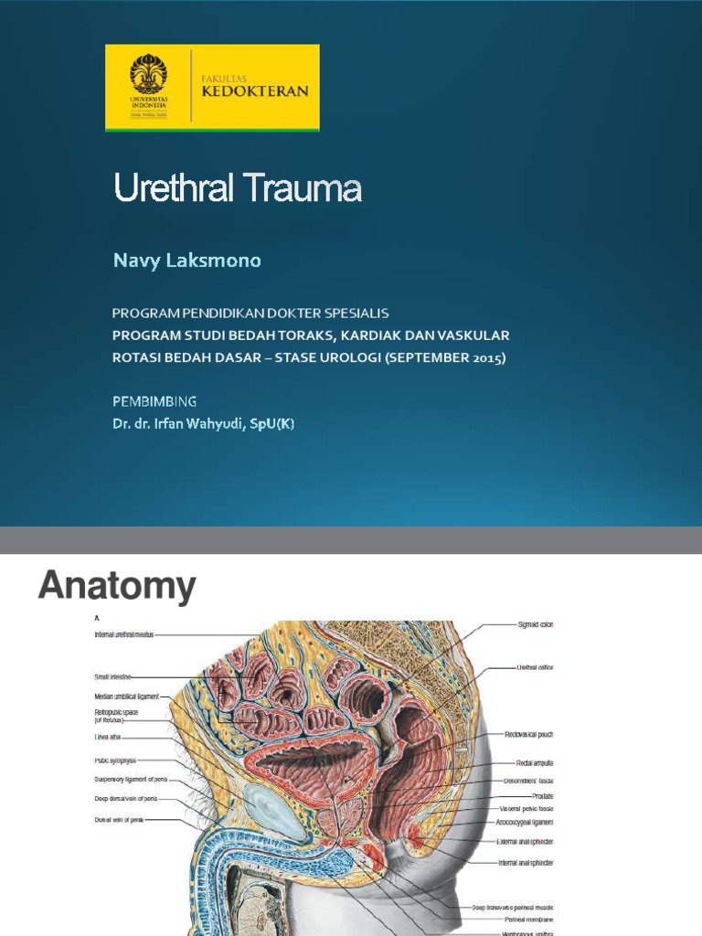 Urethral Trauma Management Guide | PDF | Surgery | Medicine