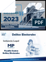 PP Delitos Electorales Final