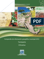 Compendio de Información Geográfica Municipal 2010: Temósachic Chihuahua