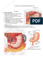 Cáncer Gástrico y GIST CX HBLT