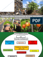 04 - Princípios Restauração - Ingo Isernhagen PDF