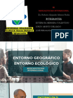 Mercadotecnia internacional: Entornos geográfico, ecológico y de marketing