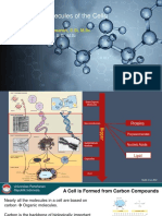 Macromolecules of The Cells PDF