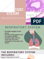Respiratory System PDF