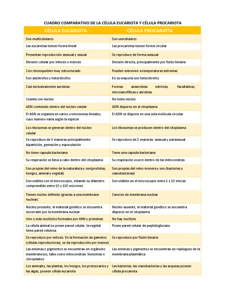 Comparativa Células Eucariotas y Procariotas | PDF | Biología Celular ...