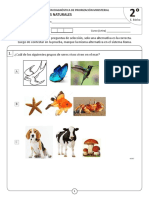 Diagnóstico Roma Ciencias Naturales PDF