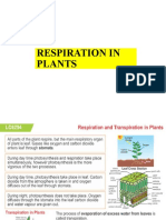 Respiration in Plants