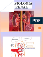 Tema 2 - Fisiología Renal PDF