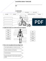 Evaluación Ciencia Salud