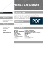 CV Ferdi PDF