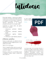 Hidatidosis PDF