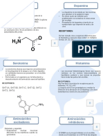 Expo3. Fisiología Sem