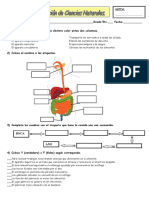 Evaluación de Cs Naturales 5to 2018 (Sist. Digestivo)