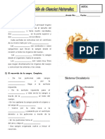 Evaluación de Cs Naturales 5to 2018 (Sist. Circulatorio)