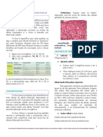 HPV e Neoplasia Intraepitelial Cervical - MEDQ - Oficial