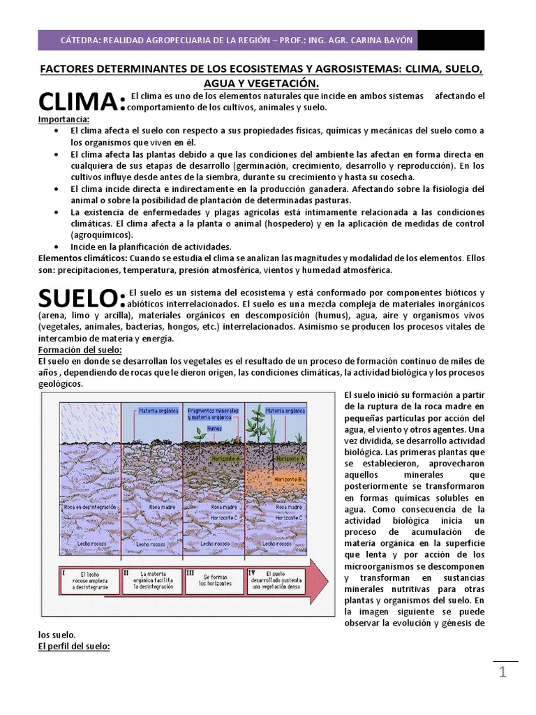 Realidad El Suelo Pdf Suelo Agua
