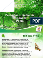 Taller NIIF Pyme - Pps