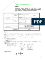 Acidos Nucleicos y Adn