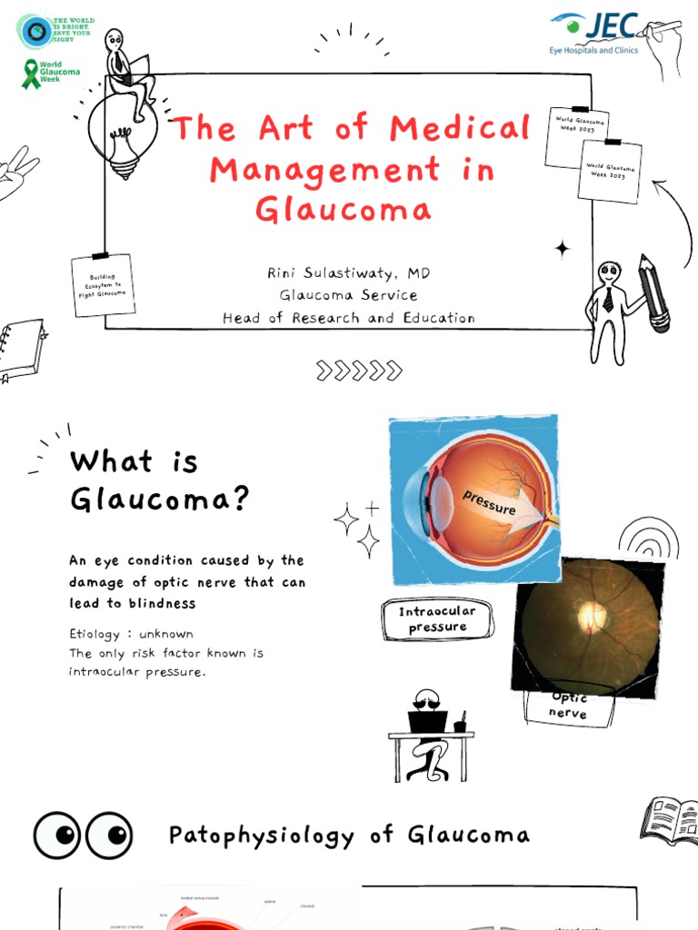 The Art Of Medical Management In Glaucoma Pdf Pdf Glaucoma Health